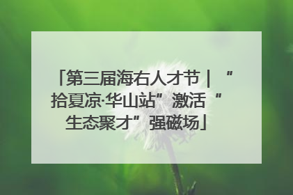 第三届海右人才节｜“拾夏凉·华山站”激活“生态聚才”强磁场